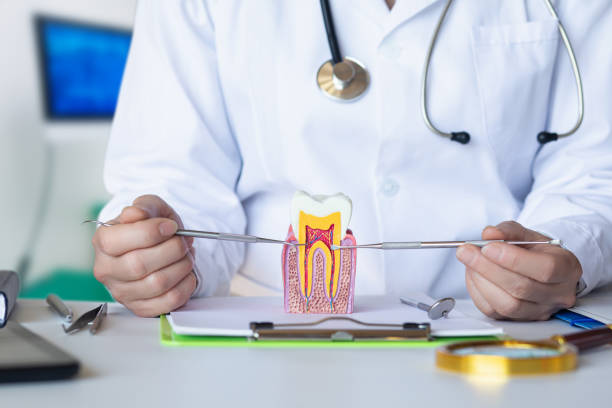 Best 24-Hour Emergency Dentist in Hillsborough, CA